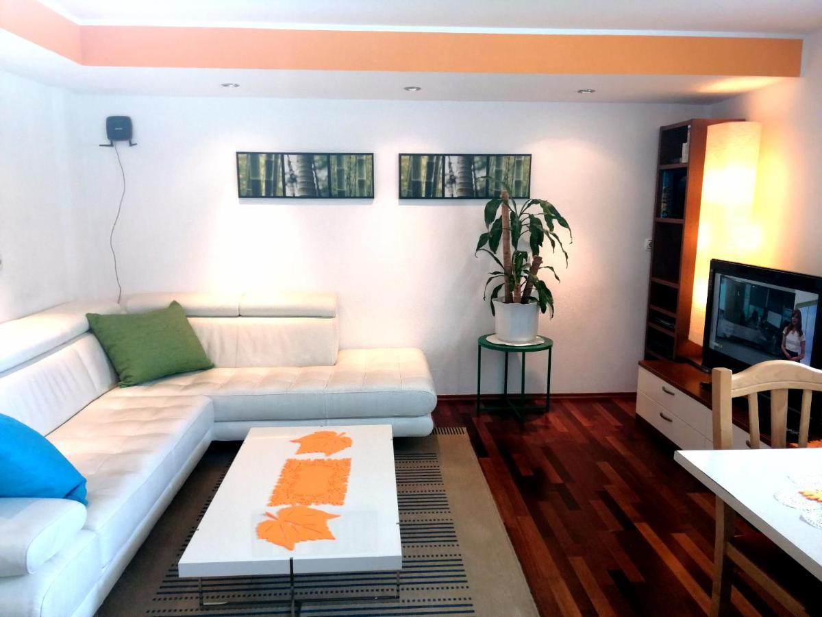 Mateja House - Apartments In Zirovnica Rodine Bagian luar foto