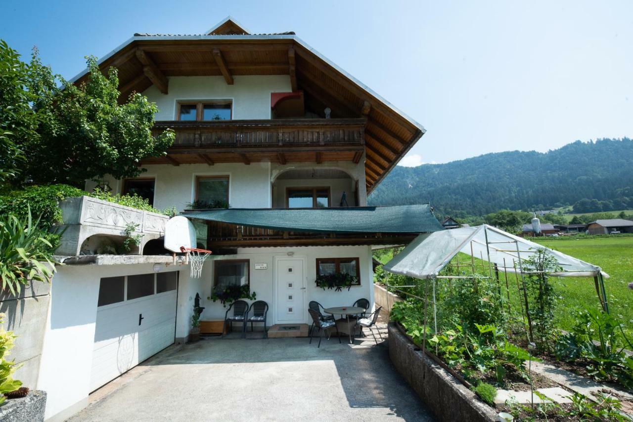Mateja House - Apartments In Zirovnica Rodine Bagian luar foto