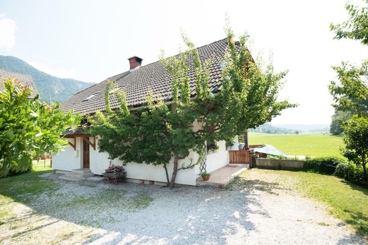 Mateja House - Apartments In Zirovnica Rodine Bagian luar foto
