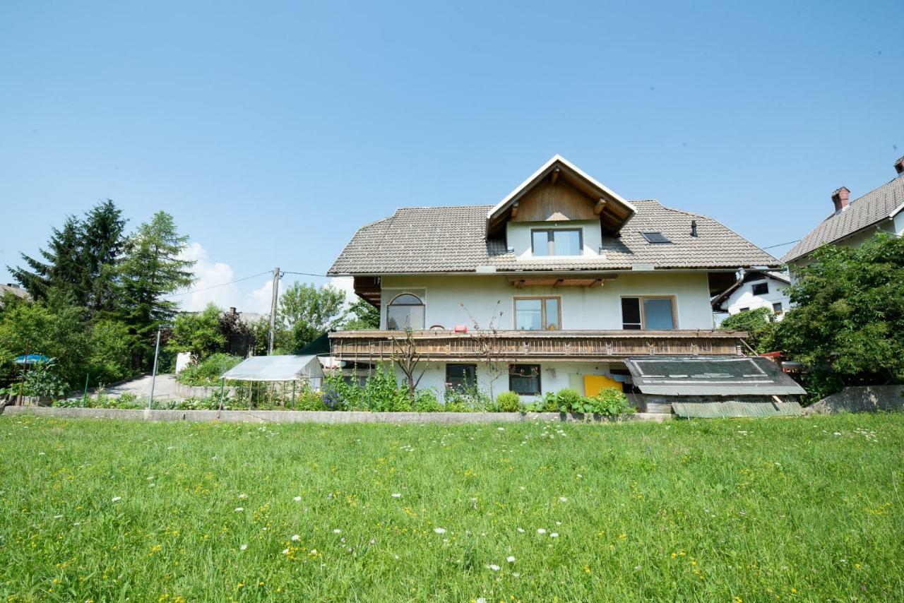 Mateja House - Apartments In Zirovnica Rodine Bagian luar foto